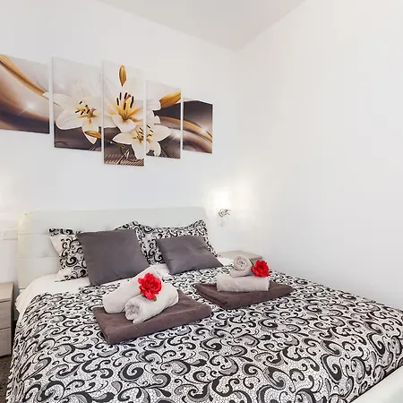 Alexander Apartament